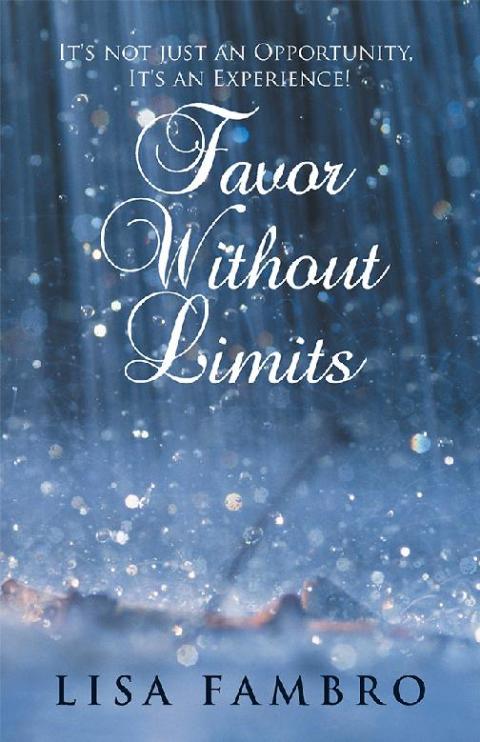 Cover image for book Favor Without Limits