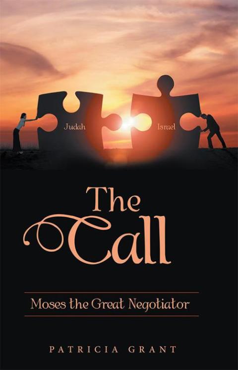Cover image for book The Call