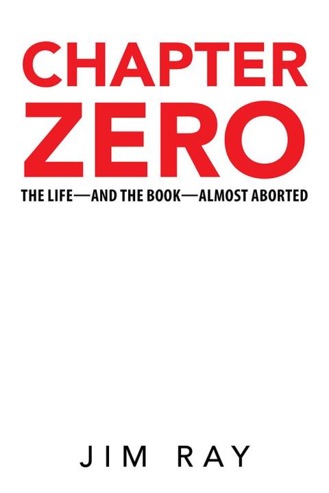Cover image for book Chapter Zero