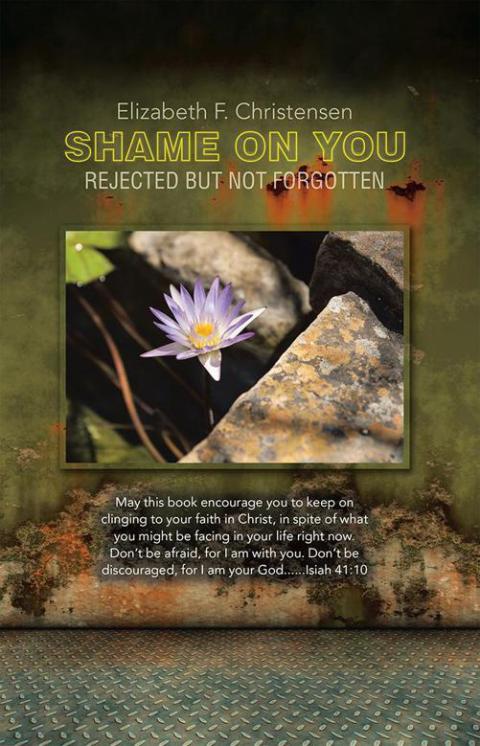 Cover image for book Shame on You