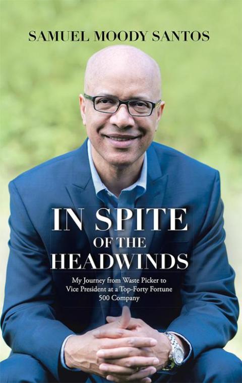 Cover image for book In Spite of the Headwinds