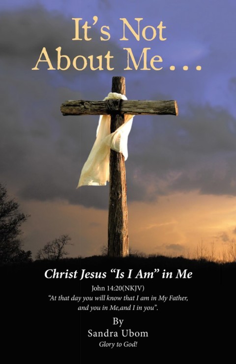 Cover image for book It’S Not About Me . . .