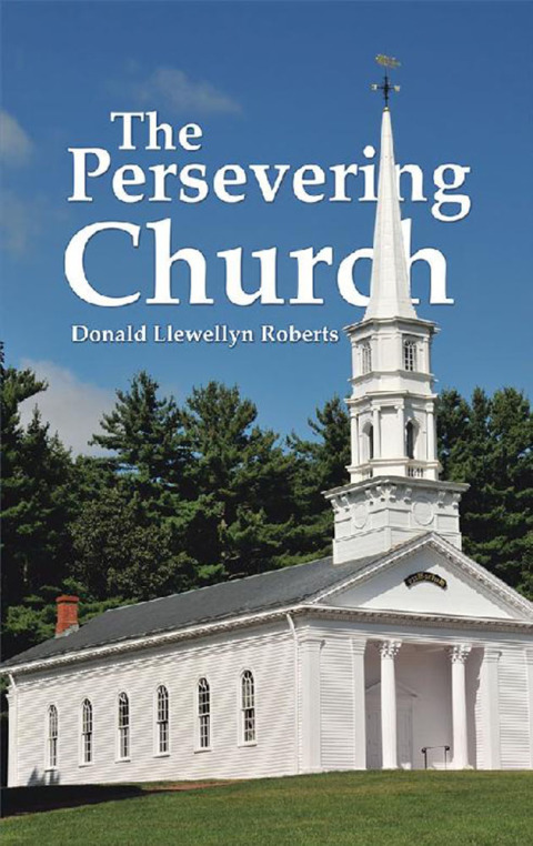 Cover image for book The Persevering Church