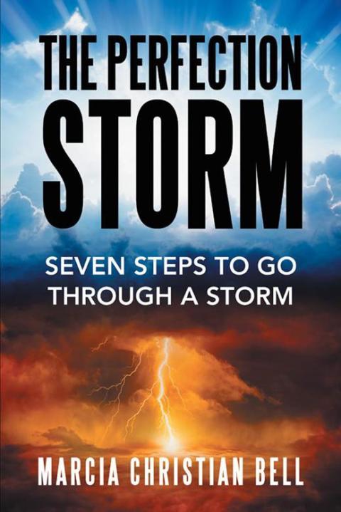 Cover image for book The Perfection Storm