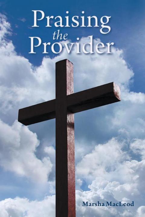 Cover image for book Praising the Provider