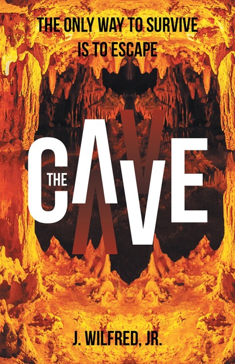 Cover image for book The Cave