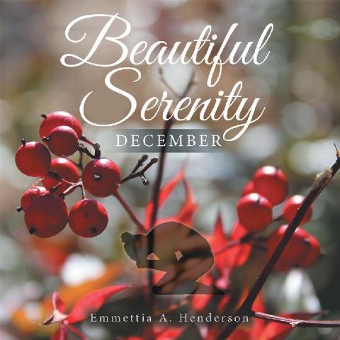 Cover image for book Beautiful Serenity