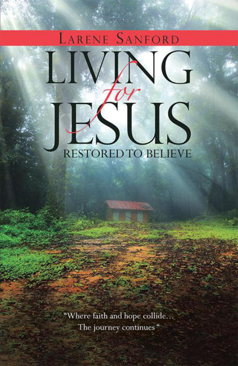 Cover image for book Living for Jesus
