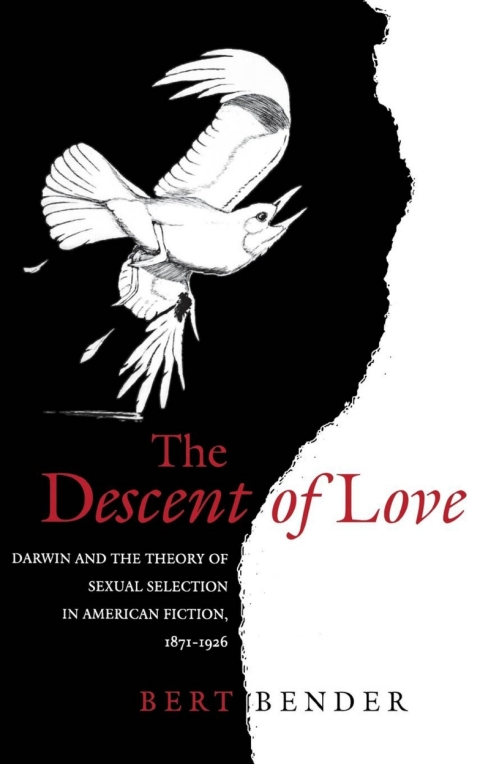 Cover image for book The Descent of Love