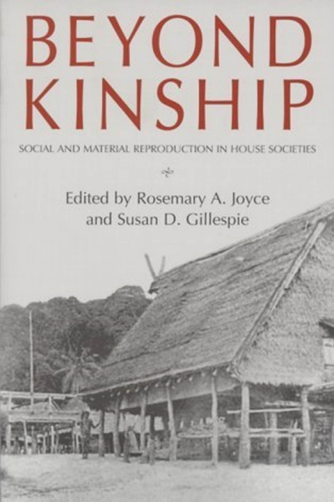 Cover image for book Beyond Kinship