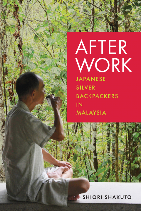 Cover image for book After Work