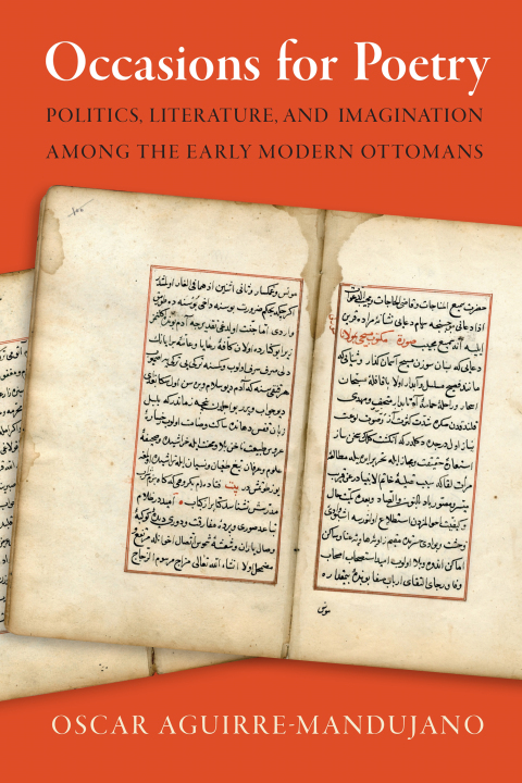 Cover image for book Occasions for Poetry
