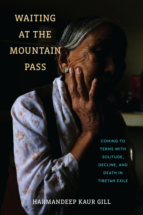Cover image for book Waiting at the Mountain Pass