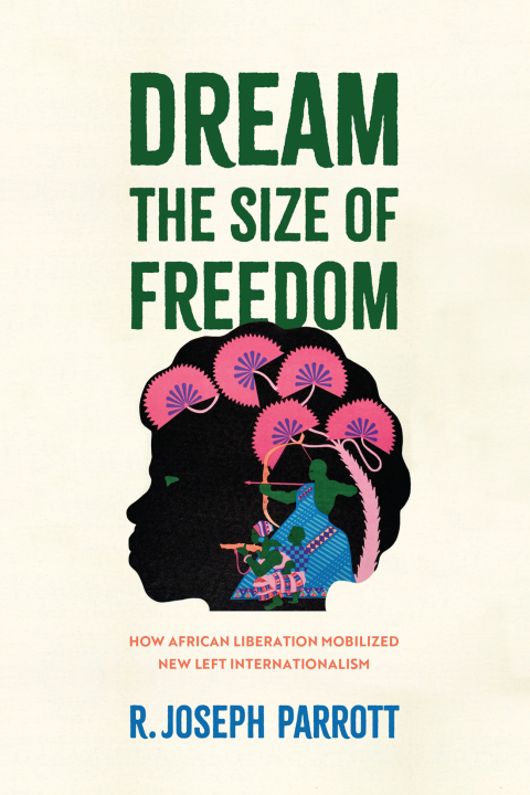 Cover image for book Dream the Size of Freedom