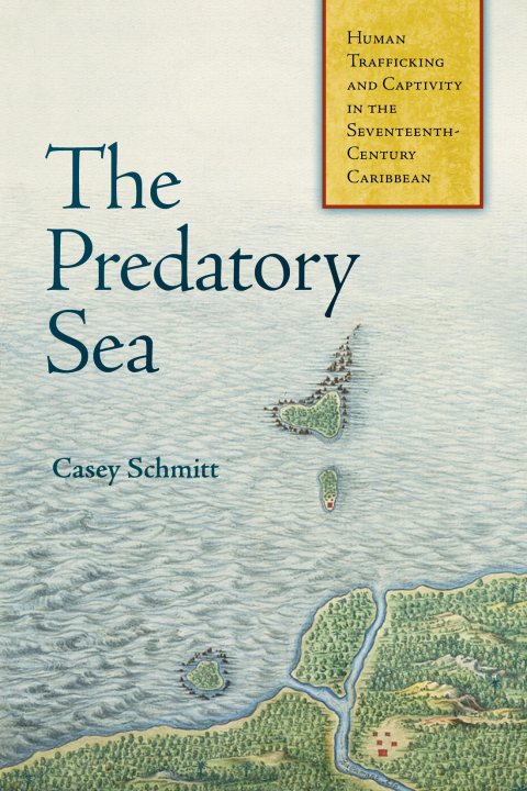 Cover image for book The Predatory Sea