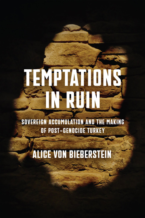 Cover image for book Temptations in Ruin