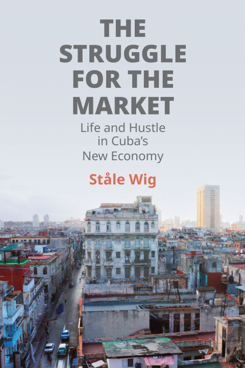 Cover image for book The Struggle for the Market