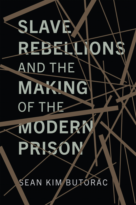 Cover image for book Slave Rebellions and the Making of the Modern Prison