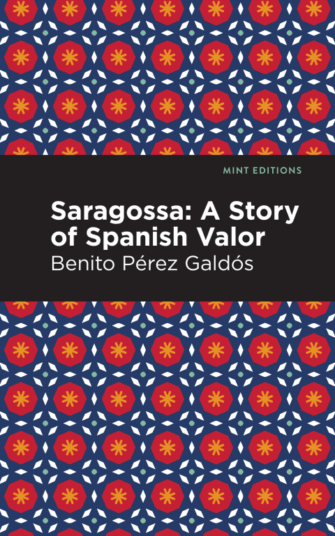 Cover image for book Saragossa
