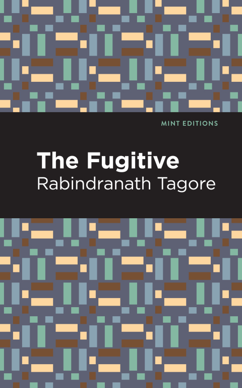 Cover image for book The Fugitive