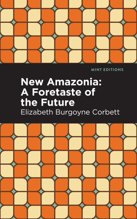 Cover image for book New Amazonia