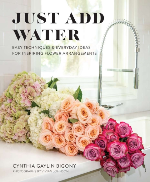 Cover image for book Just Add Water