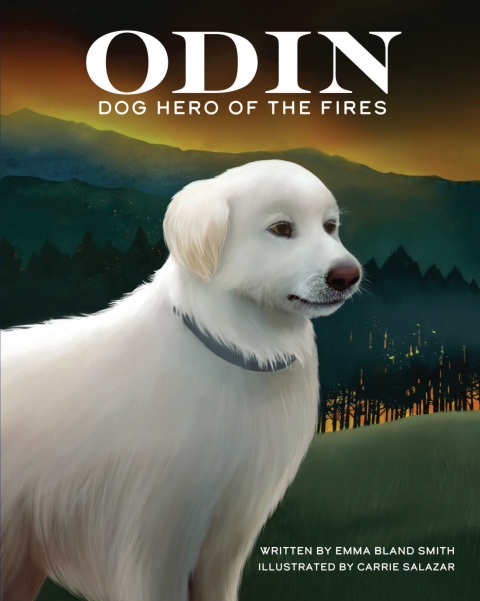 Cover image for book Odin, Dog Hero of the Fires