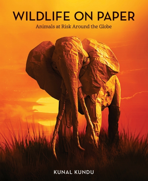 Cover image for book Wildlife on Paper