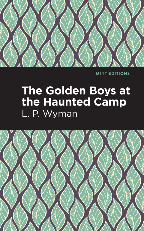 Cover image for book The Golden Boys at the Haunted Camp