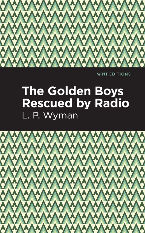 Cover image for book The Golden Boys Rescued by Radio