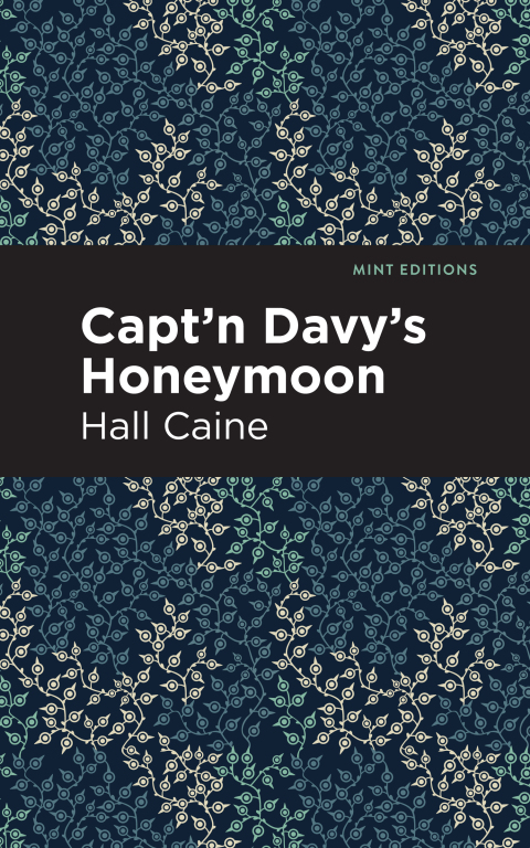 Cover image for book Capt'n Davy's Honeymoon