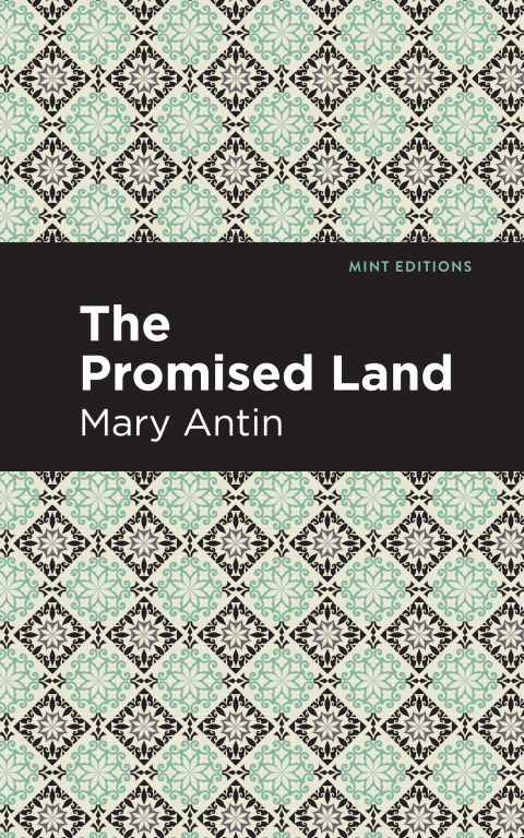 Cover image for book The Promised Land