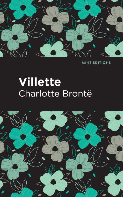 Cover image for book Villette