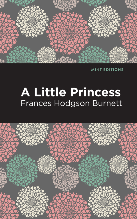 Cover image for book A Little Princess