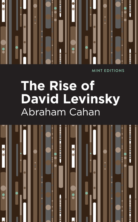 Cover image for book The Rise of David Levinsky