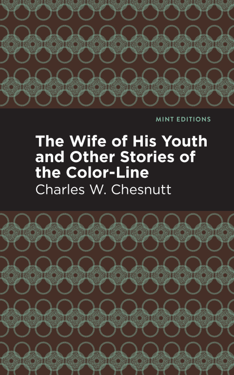 Cover image for book The Wife of His Youth and Other Stories of the Color Line