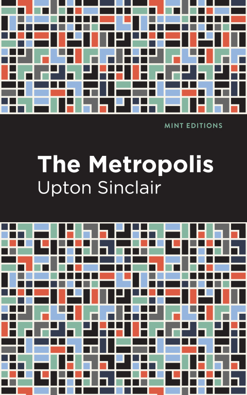 Cover image for book The Metropolis