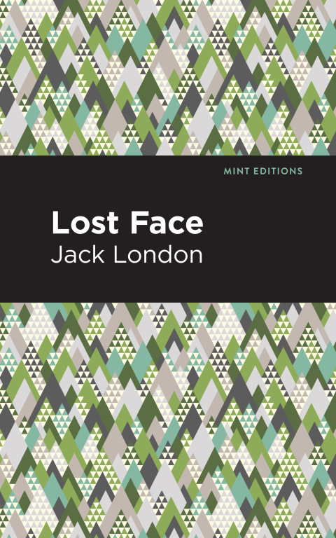 Cover image for book Lost Face