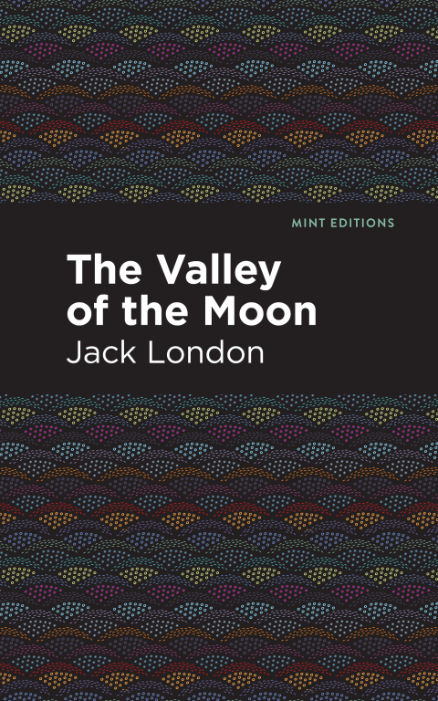 Cover image for book The Valley of the Moon