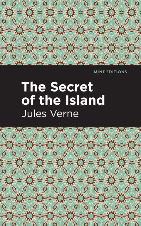 Cover image for book The Secret of the Island