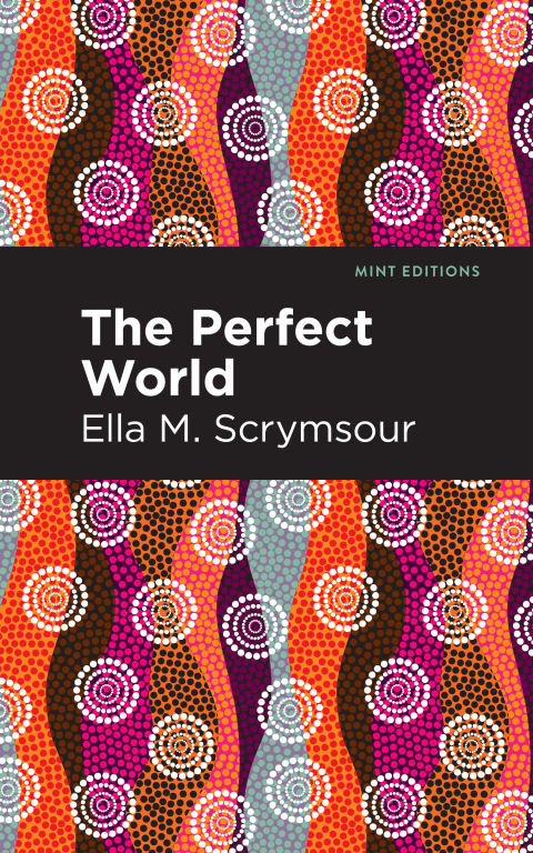 Cover image for book The Perfect World