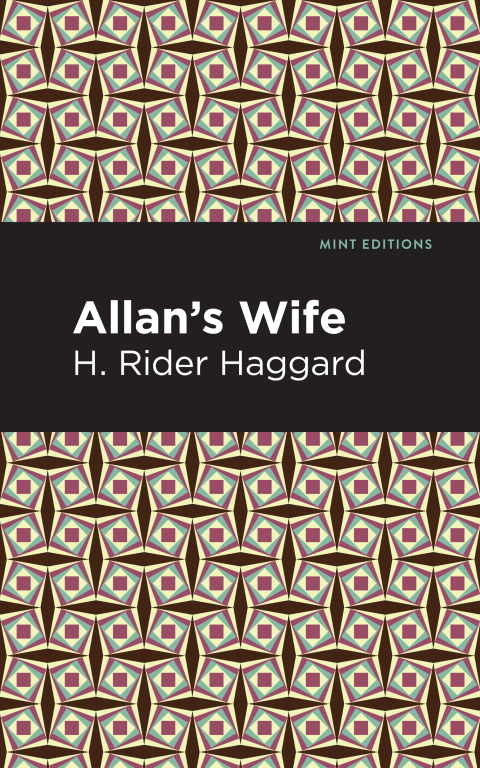 Cover image for book Allan's Wife