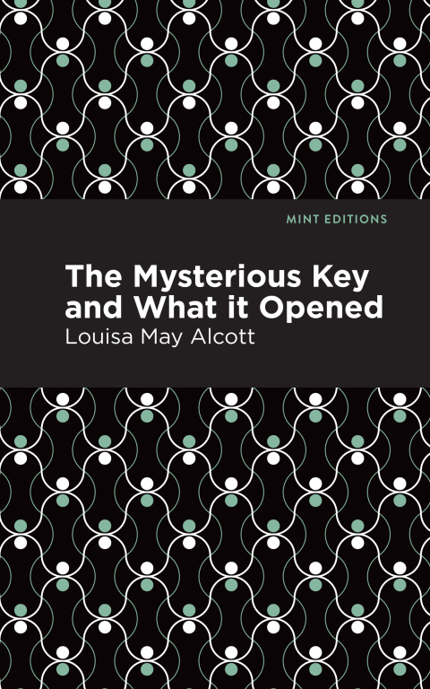 Cover image for book The Mysterious Key and What it Opened