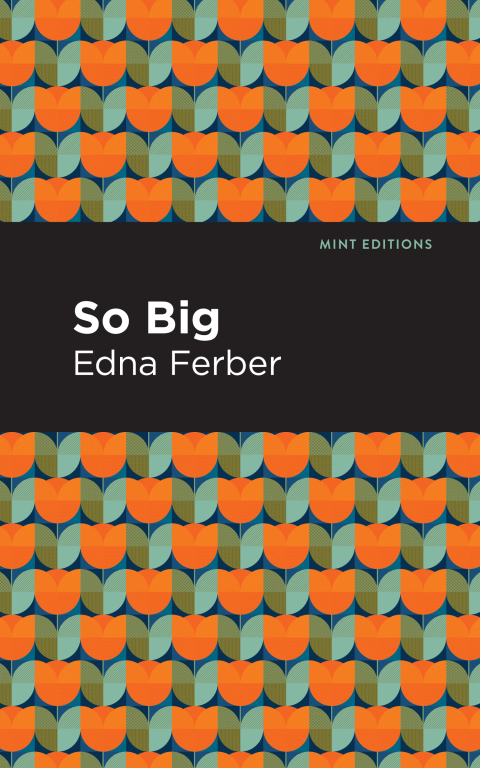 Cover image for book So Big