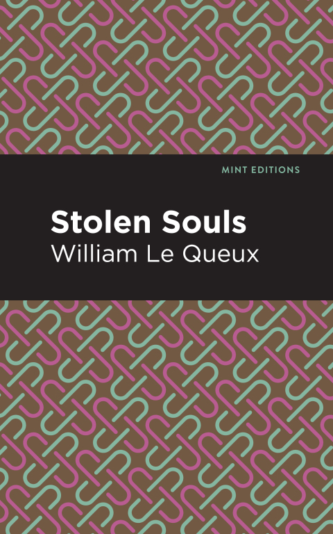 Cover image for book Stolen Souls