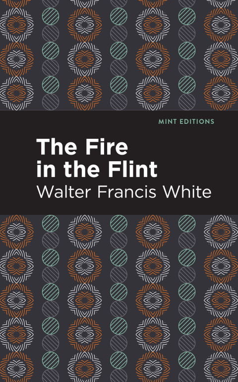 Cover image for book The Fire in the Flint