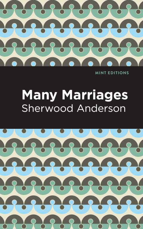 Cover image for book Many Marriages