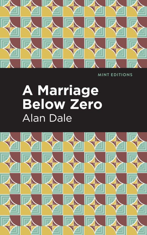 Cover image for book A Marriage Below Zero
