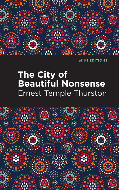 Cover image for book The City of Beautiful Nonsense