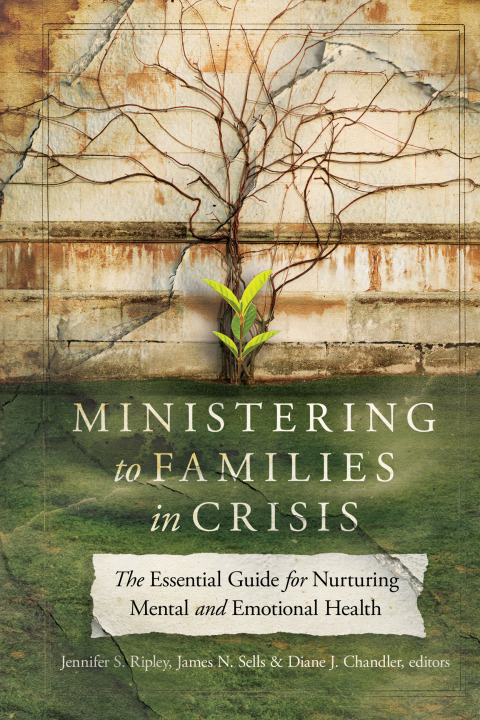Cover image for book Ministering to Families in Crisis